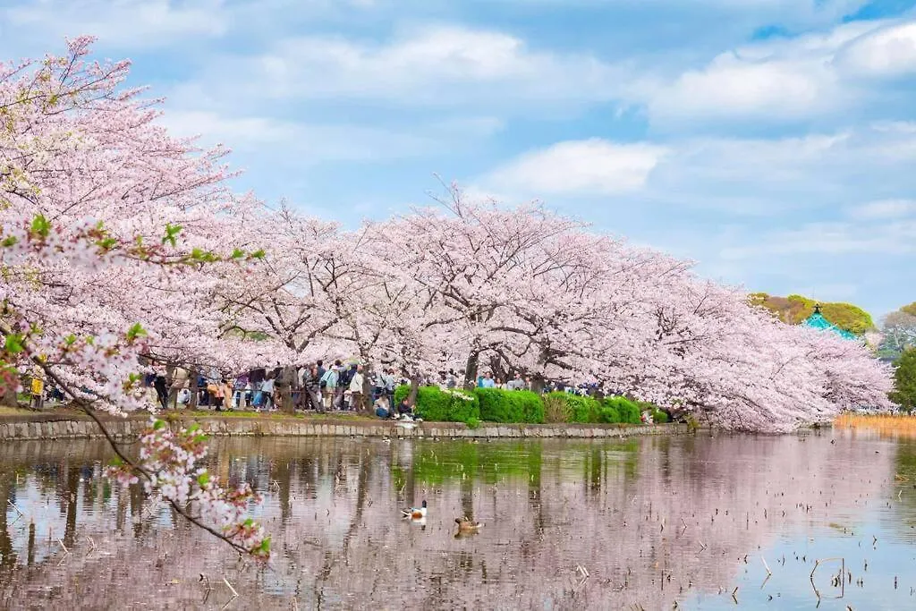 Apartmán リマールビル2 401 Prefektura Tokio Japonsko